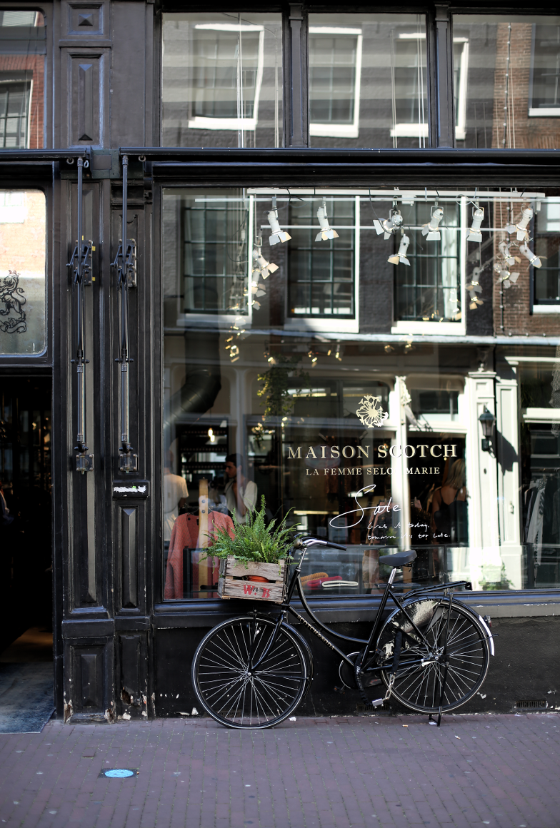 The Dashing Rider Amsterdam Travel Guide Reiseblog