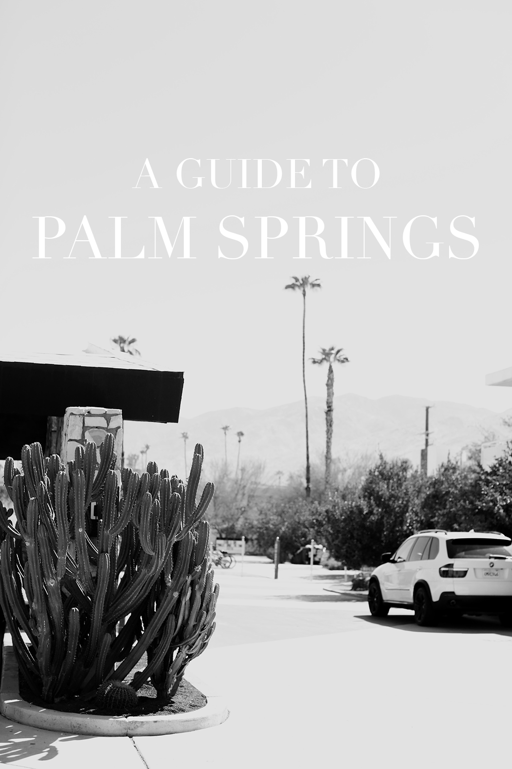 The Dashing Rider Palm Springs Mini Guide