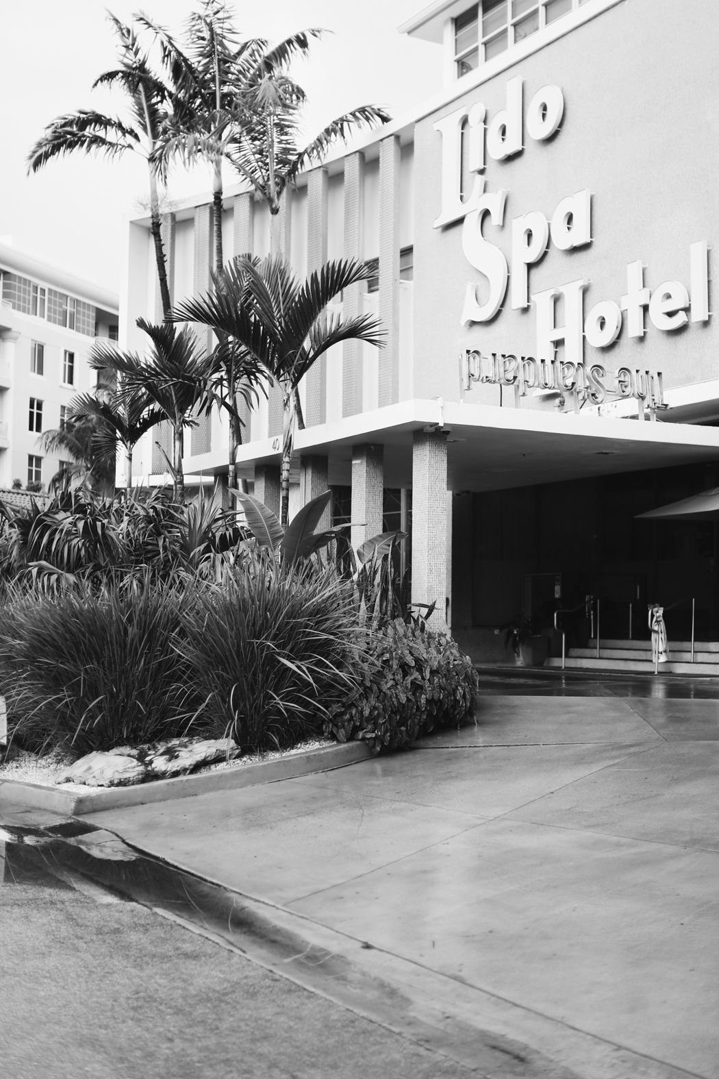 The Dashing Rider The Standard Hotel & Spa Miami Beach Editorial