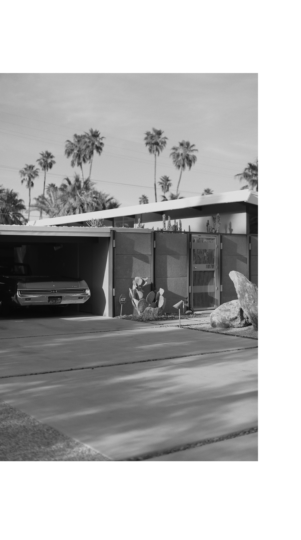 Palm Springs - Classic Car & Mid-Century House - Fiona Dinkelbach