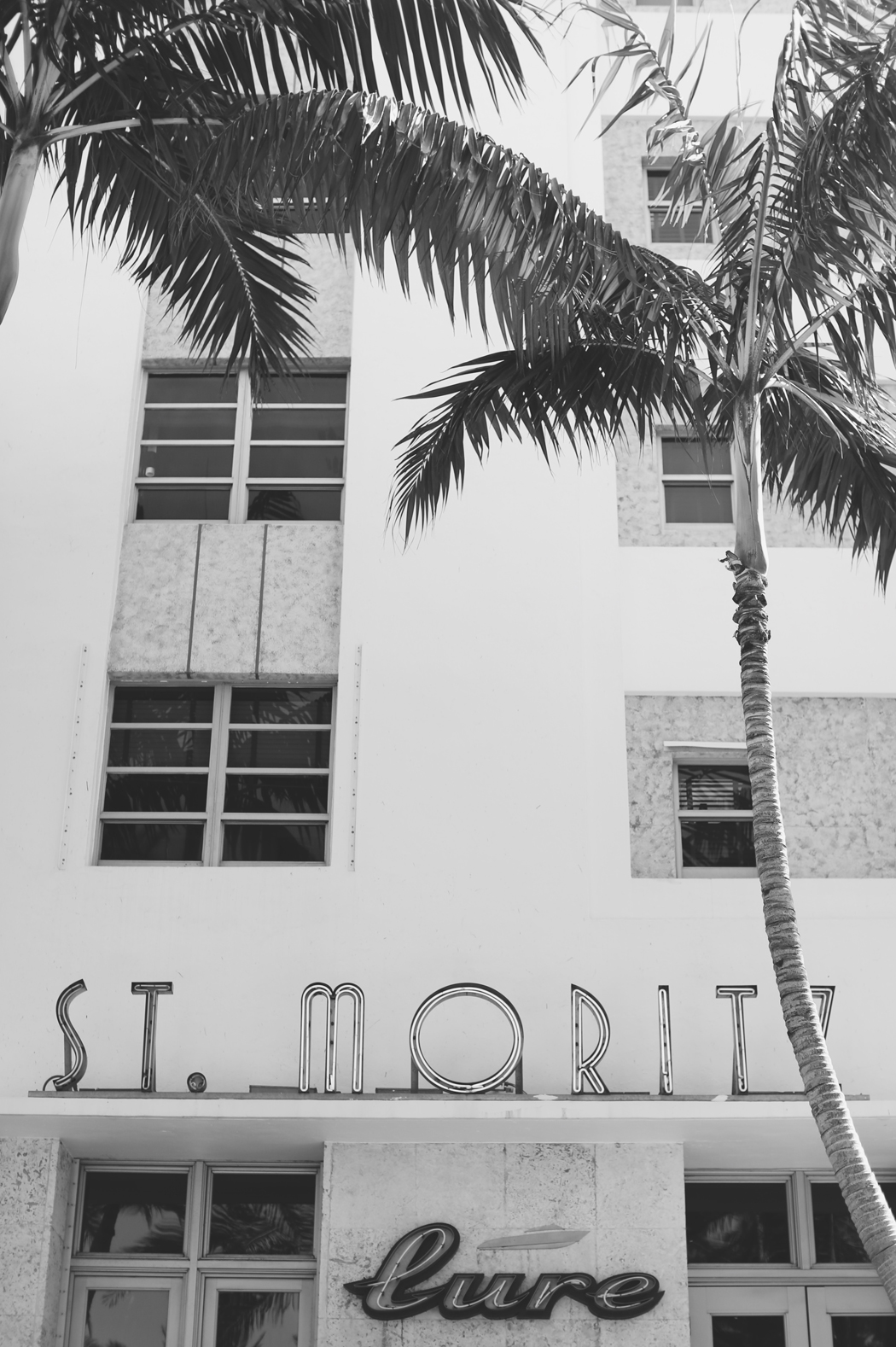THE DASHING RIDER - Miami Architecture