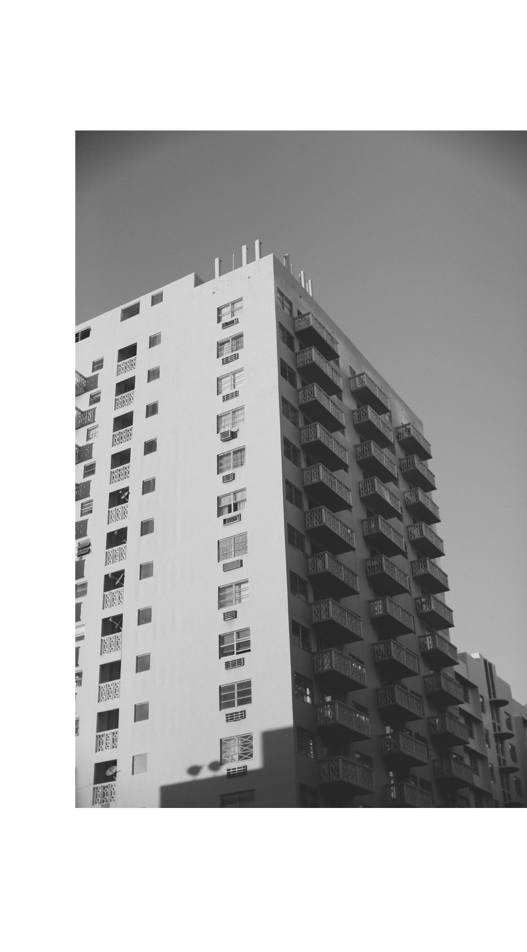 THE DASHING RIDER - Miami Architecture
