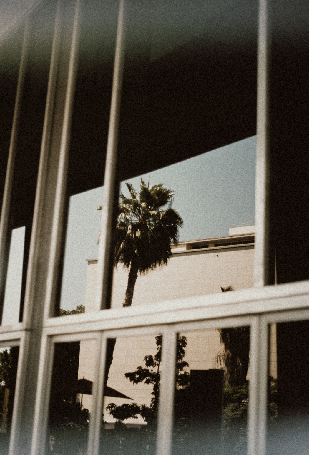 Los Angeles On Film. Shot by Fiona Dinkelbach