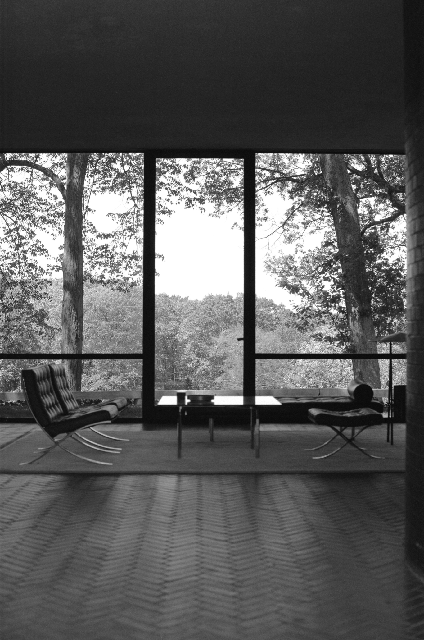 Reflecting Transparency⸺Philip Johnson's Iconic Glass House
