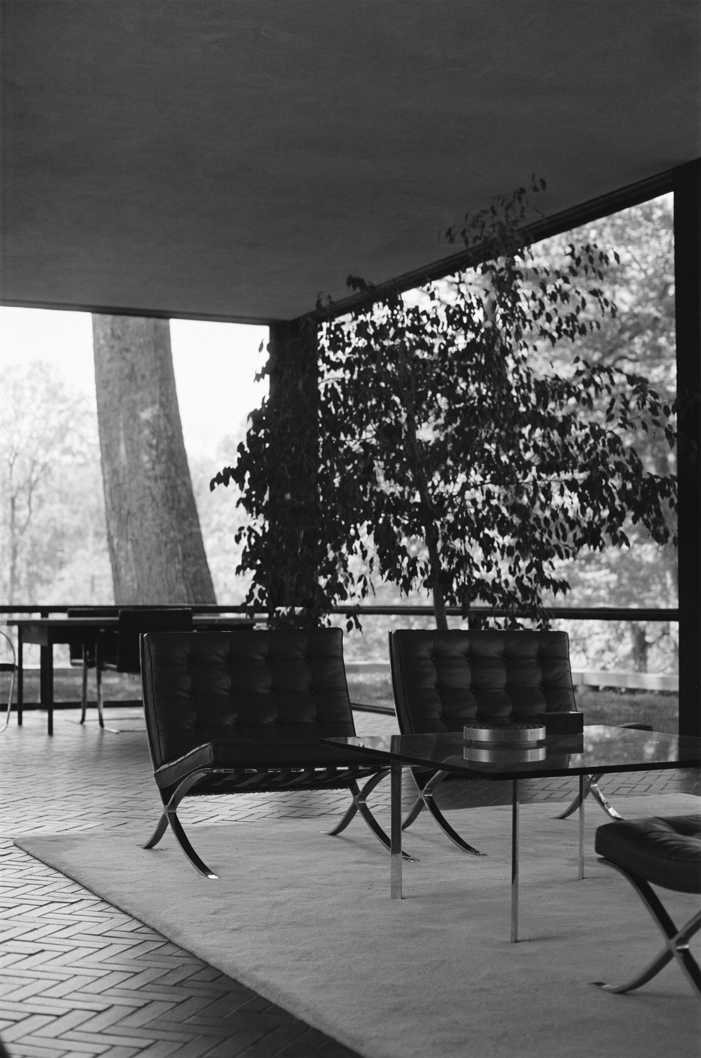 Reflecting Transparency⸺Philip Johnson's Iconic Glass House